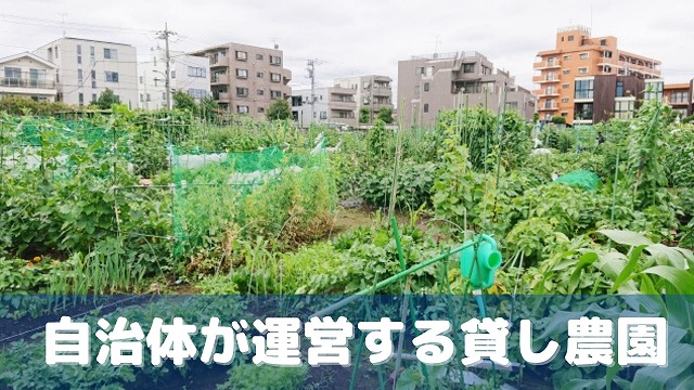 自治体が運営する貸し農園（市民農園）を借りる