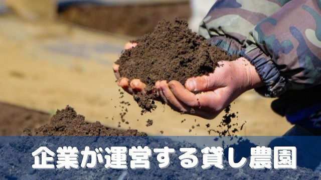 企業が運営する貸し農園（市民農園）を借りる